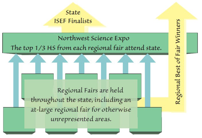 fair flow chart